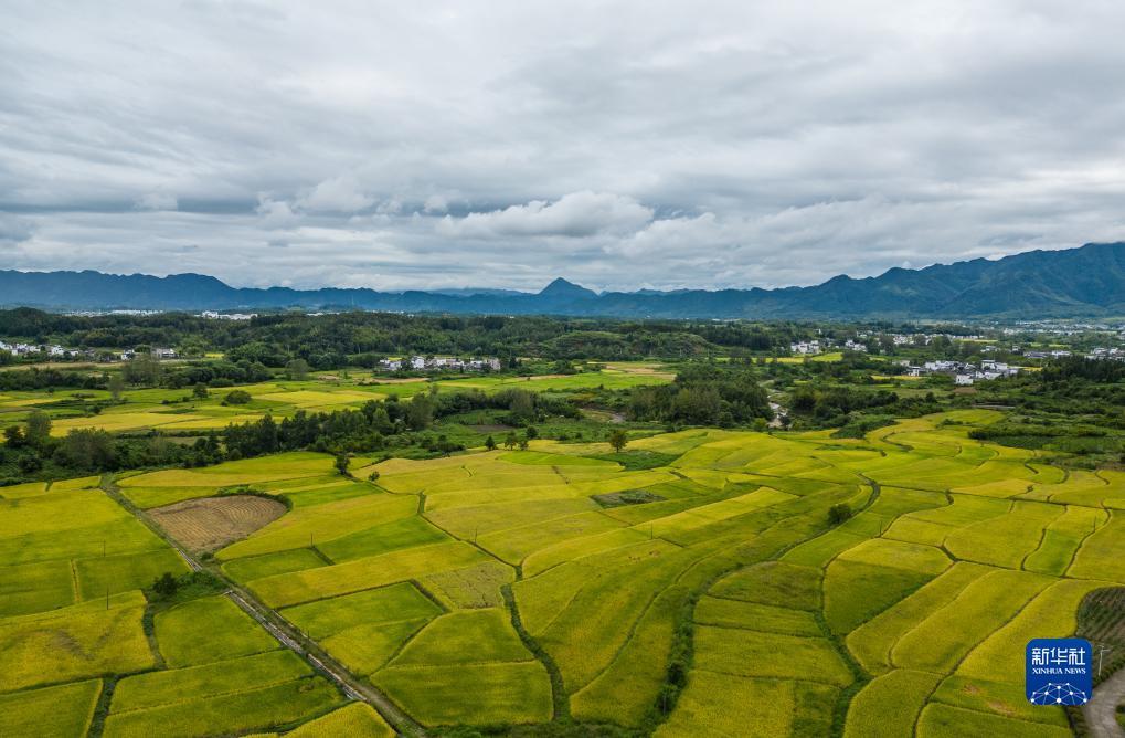 中国新赌场